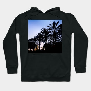 Palm Trees in Sunset Hoodie